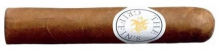 The Griffins Classic Short Robusto